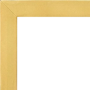 European Mustard Cotton